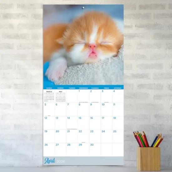 2026 Cat Dreams Wall Calendar {4}