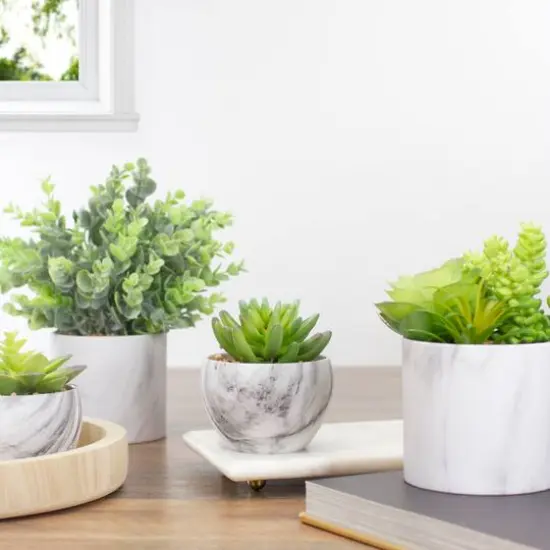 4.25" Green Succulent in Faux Marble Pot {3}