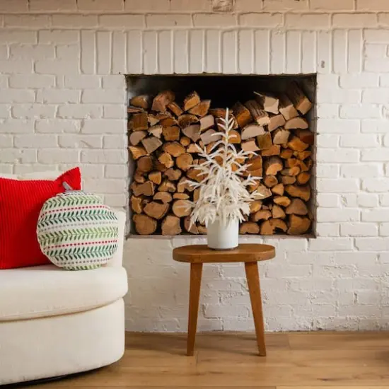 2ft. Artificial Real Touch White Norfolk Island Pine Christmas Tree with Natural Look {7}