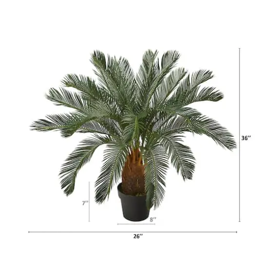 3ft. Potted Cycas Tree {3}