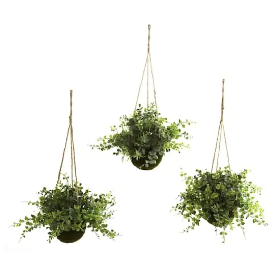 9'' Eucalyptus, Maiden Hair & Berry Hanging Basket, 3ct. {1}