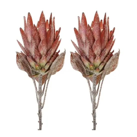 29.25" Red Protea Flower Stems, 2ct. Orange {1}
