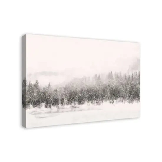Calm Snowy Trees 36x24 Canvas Wall Art {3}