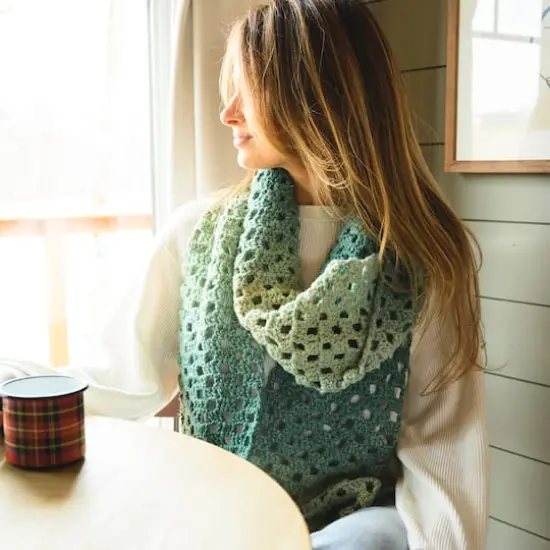 3 Pack Lion Brand&reg; Landscapes&reg; Renewed Yarn Desert Spring {3}