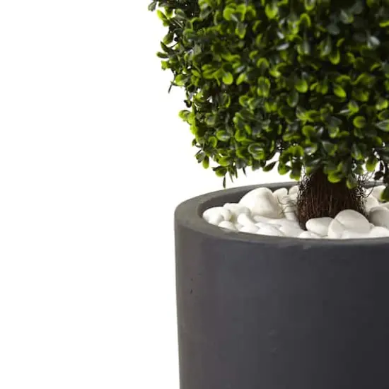 4ft. Boxwood Topiary with Gray Cylindrical Planter {3}