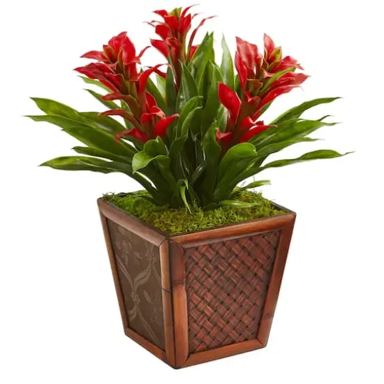 18'' Red Triple Bromeliad Plant in Brown Decorative Planter {1}