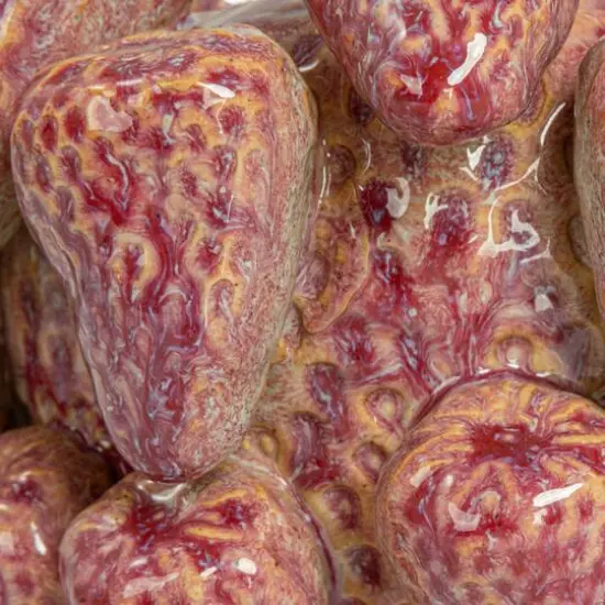 Hello Honey® 5.25" Berry Delight 3D Strawberry Stoneware Planter Vase {7}