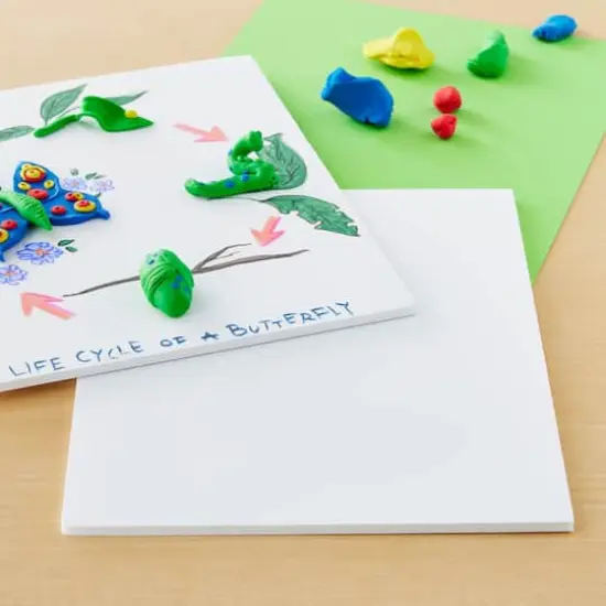 8" x 10" Foam Boards, 5ct. {3}