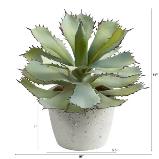 11" Potted Succulent Plant {3}