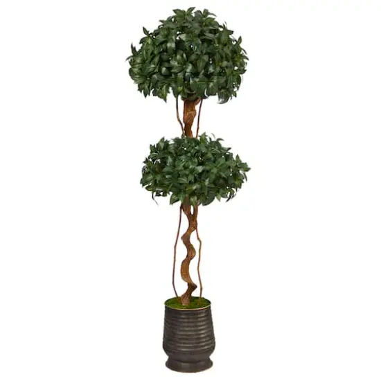 5.5ft. Sweet Bay Double Ball Topiary Tree in Ribbed Metal Planter {1}