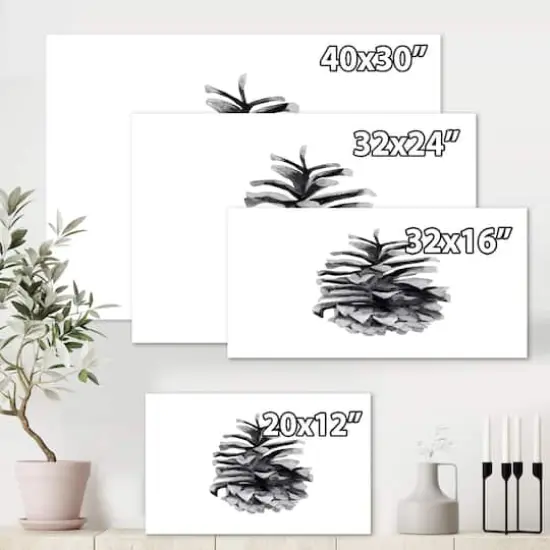 Designart - Conifer Cone Monochrome - Traditional Canvas Wall Art Print {6}