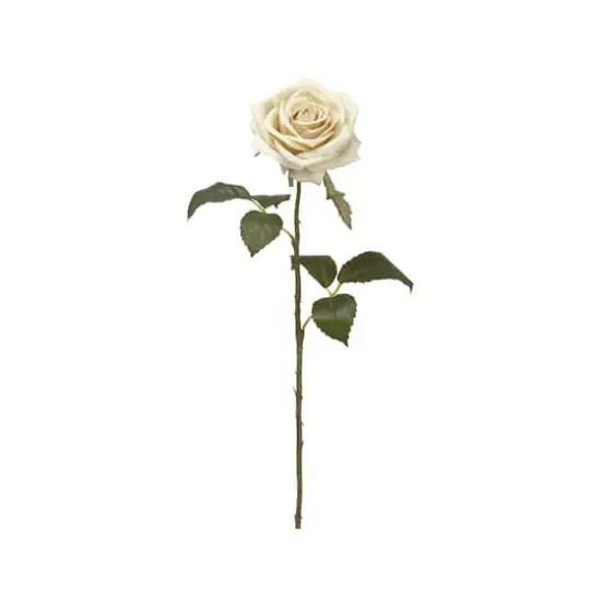 Eggshell Rose Spray {1}