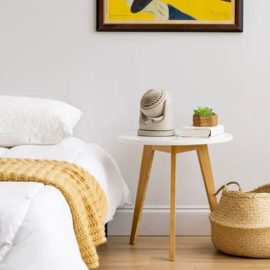 Iris&reg; 8.25" Latte Fan {4}