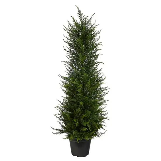 2.5ft. Potted Cypress Tree {1}