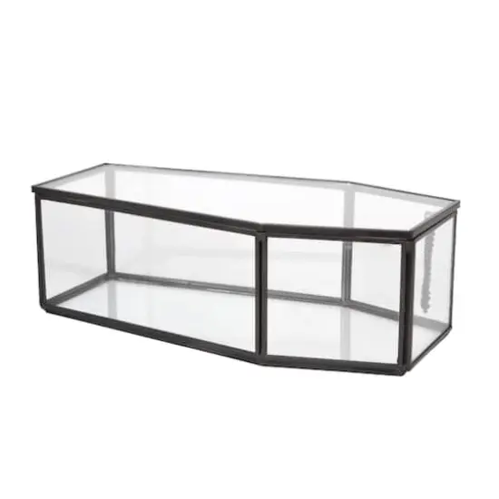 Coffin Terrarium by Ashland&reg; {4}