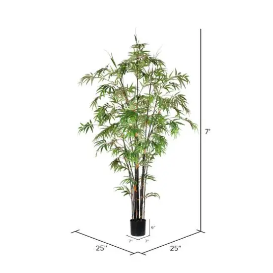 7ft. Potted Black Japanese Bamboo Tree {4}