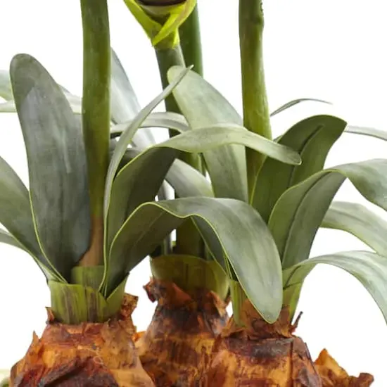 26" Red Amaryllis Arrangement in Ceramic Planter {4}