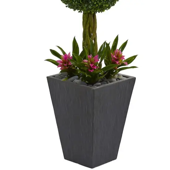 5ft. Double Boxwood Ball Topiary Tree with Bromeliads in Slate Planter {4}