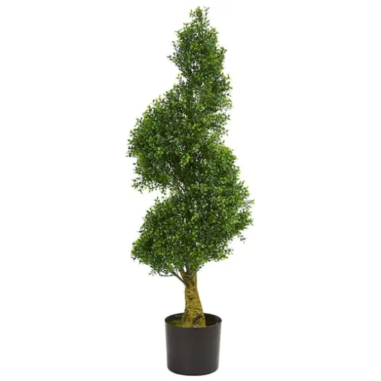 4ft. Potted Spiral Boxwood Tree {1}