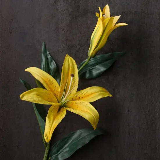 Casablanca Lily Stem by Ashland&reg; Yellow {3}