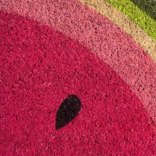 DII&reg; Watermelon Doormat {6}