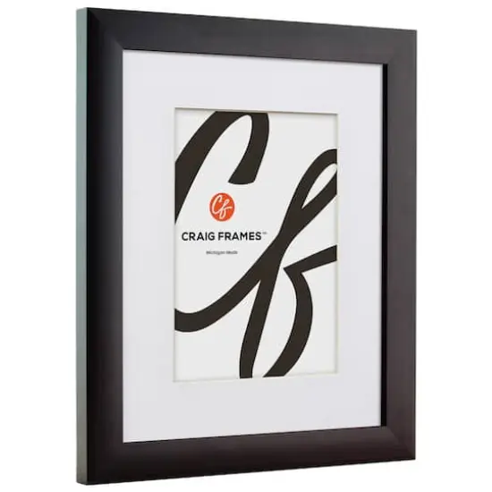 Craig Frames 4 Pack: Contemporary Brazilian Walnut Picture Frame with Mat {4}