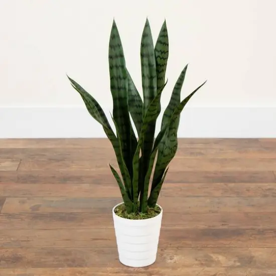 2ft. UV Resistant Artificial Snake Plant in White Decorative Planter {3}