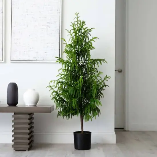 5ft. Unlit Norfolk Pine Artificial Potted Christmas Tree {6}