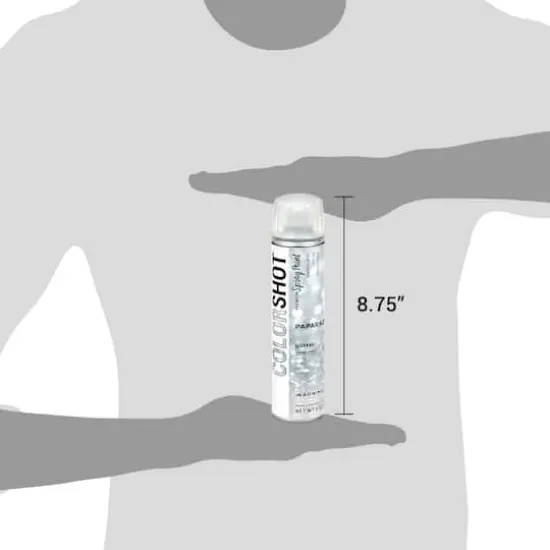 COLORSHOT&reg; Premium Glitter Spray Paint Paparazzi {8}