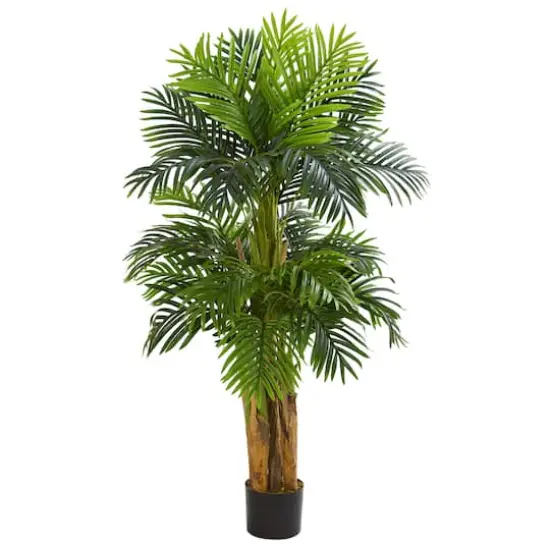5ft. Potted Triple Areca Palm Tree {1}