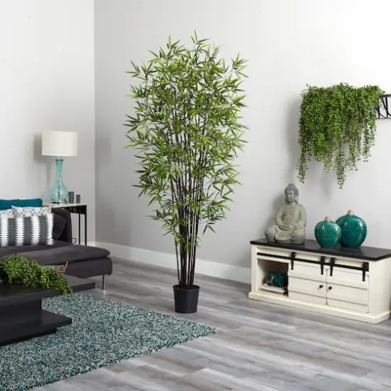 6.5ft. Potted Black Bamboo Silk Tree  {5}