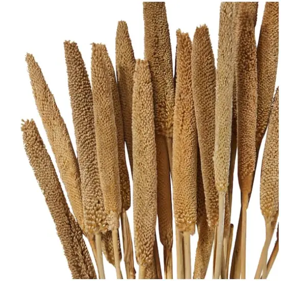 Dried Plant Bunny Tail Natural Foliage with Long Stems Brown {3}