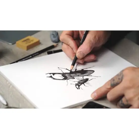 Cretacolor Deep Black 10 Piece Drawing Set {6}