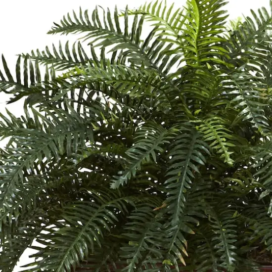 2.5ft. River Fern in Wood Planter {3}