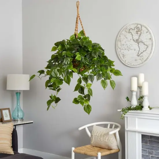 3ft. Philo Plant Hanging Basket {5}