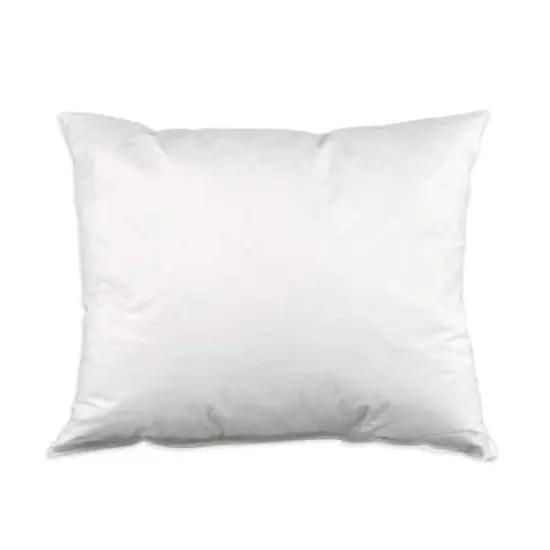 20" x 30" Down Pillow Form - 5/95 {1}