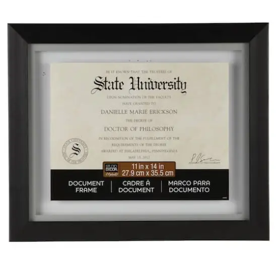 11" x 14" Black Document Float Frame by Studio D&eacute;cor&reg; {1}