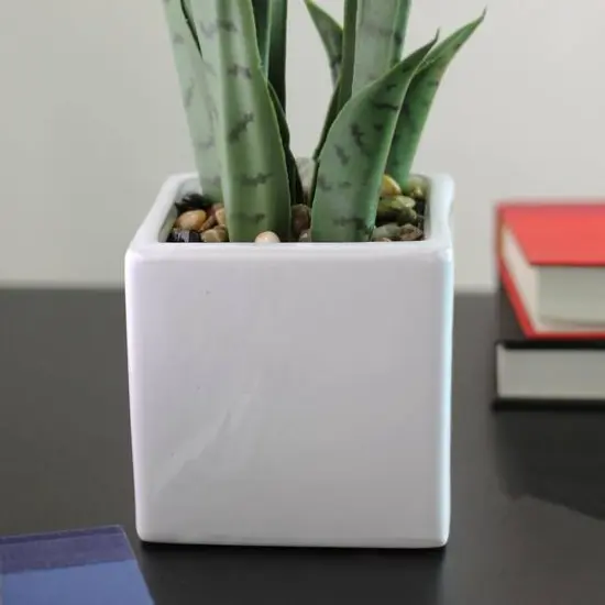 21" Green Artificial Succulent in White Square Pot {4}