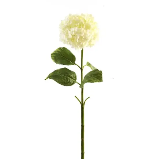 Small Cream Hydrangea Stem by Ashland&reg; {1}