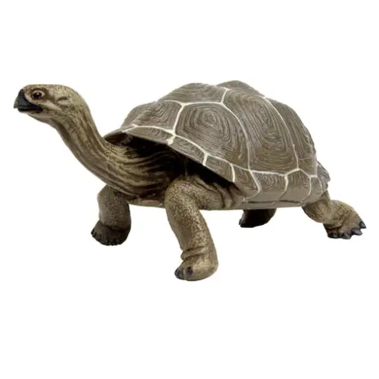 Safari Ltd&reg; Galapagos Tortoise {1}