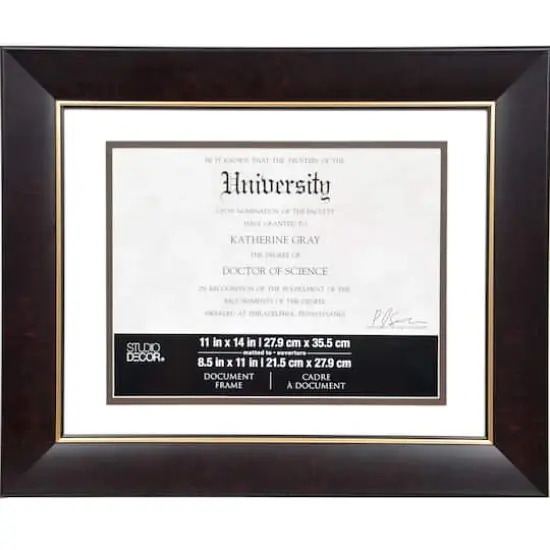 8.5" x 11" Brown & Gold Document Frame with Mat by Studio D&eacute;cor&reg; {1}