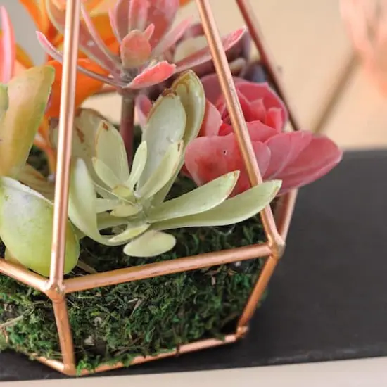 9" Artificial Succulent Arrangement In 6 Sided Copper Wire Frame {5}