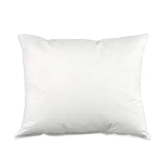 12" x 18" Down Pillow Form - 5/95 {1}