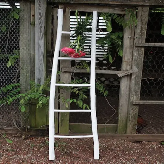 Hello Honey&reg; Decorative Wooden Ladder {5}