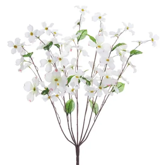 White Dogwood Bush {1}
