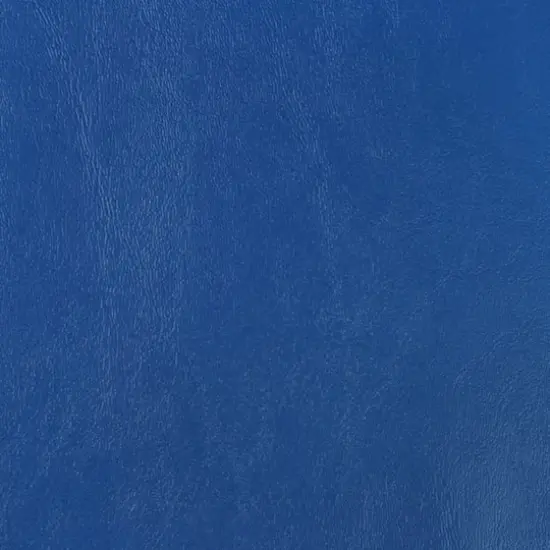 Nassimi Seaquest Royal Blue Vinyl {1}