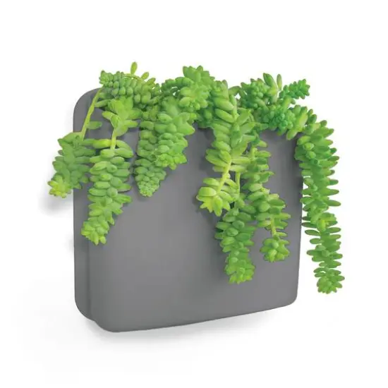 Honey Can Do Biggy, Slate {5}