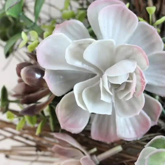 22" Green Succulent Mix & Spiral Vine Wreath {4}