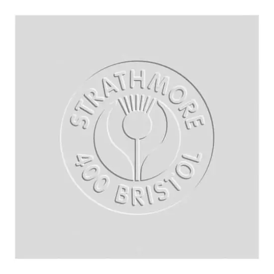 Strathmore&reg; 400 Series Large Bristol Vellum Sheet {4}