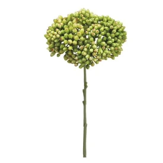 Green Sedum Spray {1}
